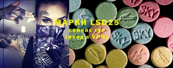 ECSTASY Новодвинск