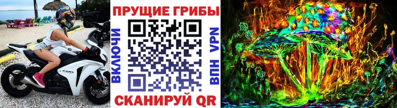Псилоцибиновые грибы Magic Shrooms  Дзержинский 